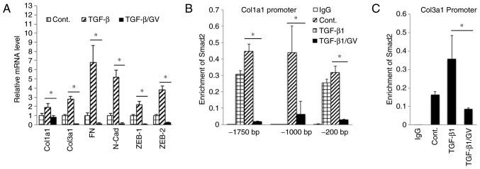 https://cdn.ncbi.nlm.nih.gov/pmc/blobs/e3a3/5881842/d489b9946b84/IJMM-41-06-3211-g04.jpg
