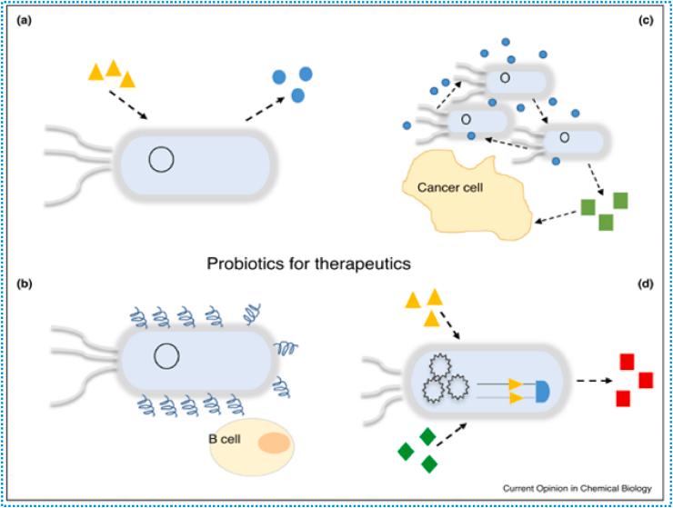 https://cdn.ncbi.nlm.nih.gov/pmc/blobs/e3a4/9240980/6890b87c6688/gr6.jpg