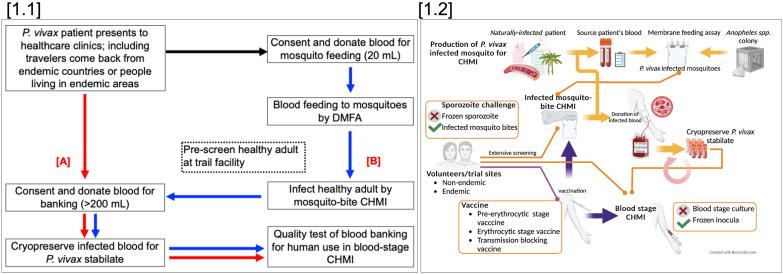 https://cdn.ncbi.nlm.nih.gov/pmc/blobs/e3a4/9849360/22dd59999b9c/fimmu-13-1006954-g001.jpg