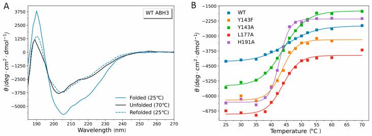 https://cdn.ncbi.nlm.nih.gov/pmc/blobs/e3a7/10816986/82c0a596dce6/ijms-25-01145-g006.jpg