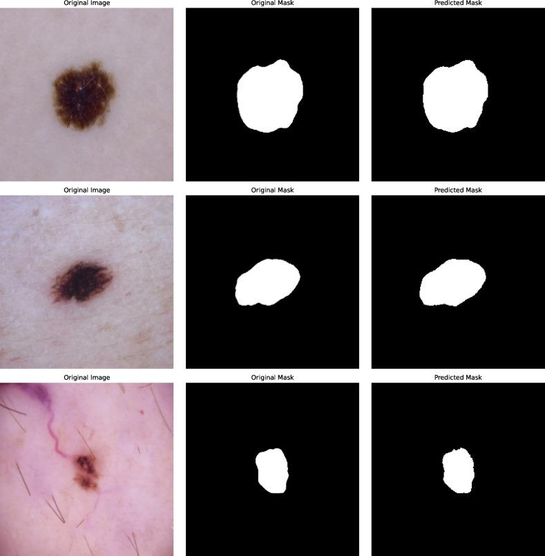 https://cdn.ncbi.nlm.nih.gov/pmc/blobs/e3a7/12405463/412392620833/41598_2025_1319_Fig4_HTML.jpg