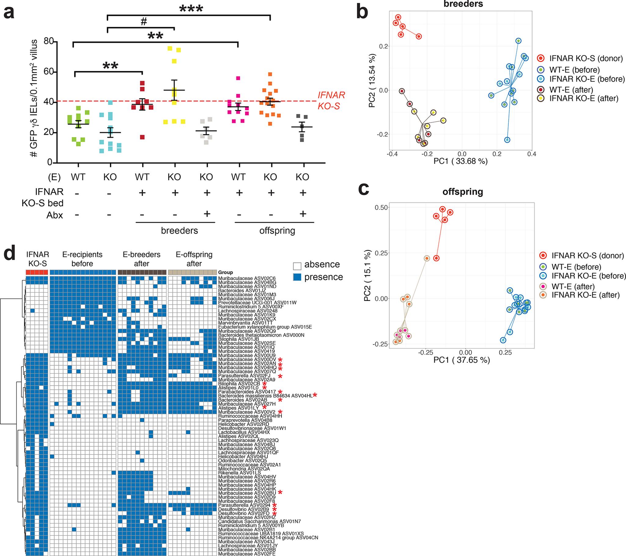 https://cdn.ncbi.nlm.nih.gov/pmc/blobs/e3a8/9262869/0e1d11dcaa72/nihms-1800901-f0002.jpg