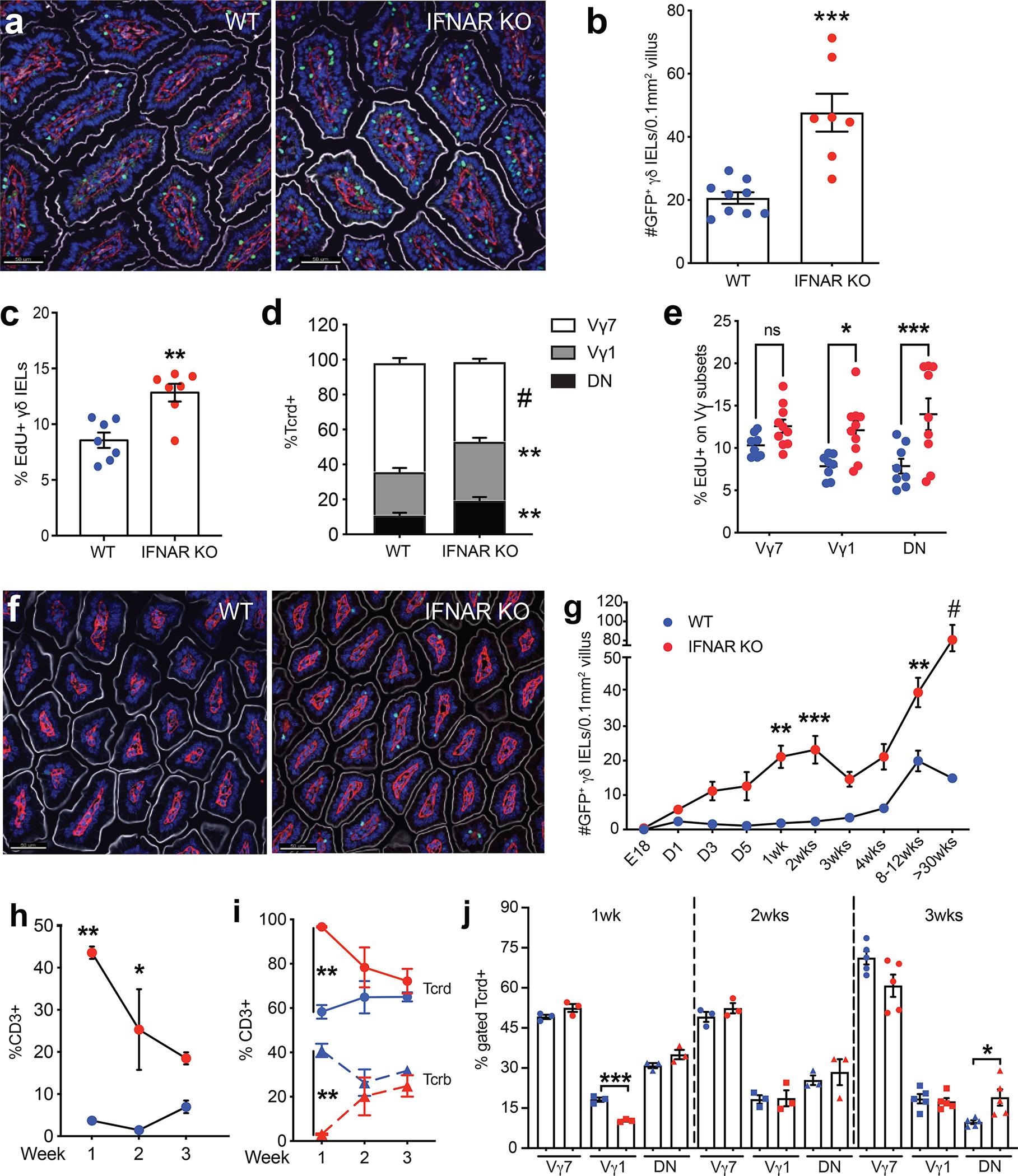 https://cdn.ncbi.nlm.nih.gov/pmc/blobs/e3a8/9262869/531e59e4891d/nihms-1800901-f0001.jpg