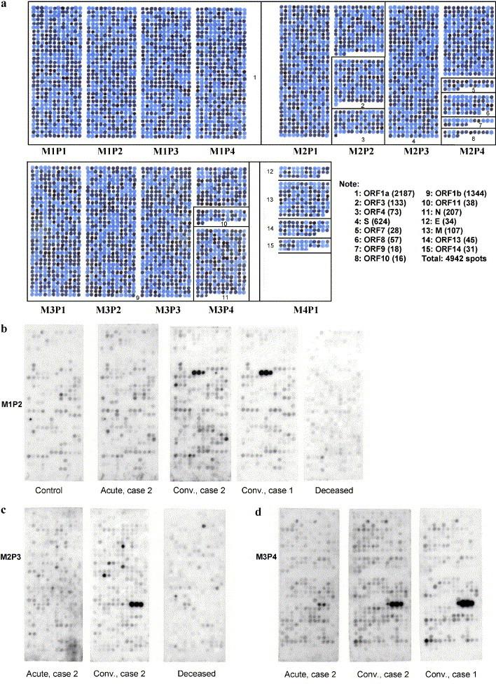 https://cdn.ncbi.nlm.nih.gov/pmc/blobs/e3aa/7125913/5c63ce691d02/gr1.jpg