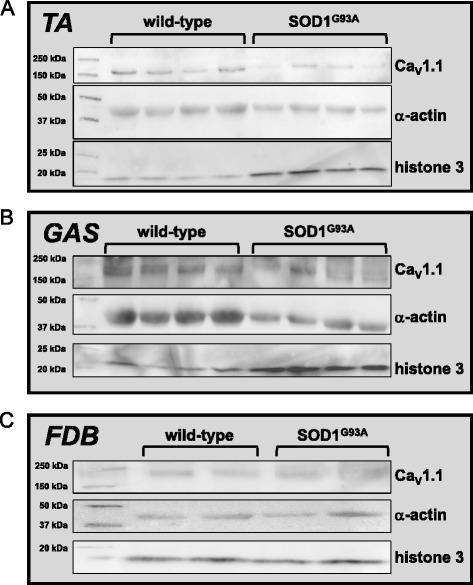 https://cdn.ncbi.nlm.nih.gov/pmc/blobs/e3ac/4918102/ac9f3fff1bed/13395_2016_94_Fig4_HTML.jpg