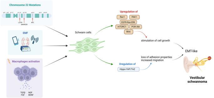 https://cdn.ncbi.nlm.nih.gov/pmc/blobs/e3ad/10517973/766110e3e5d0/41419_2023_6141_Fig3_HTML.jpg