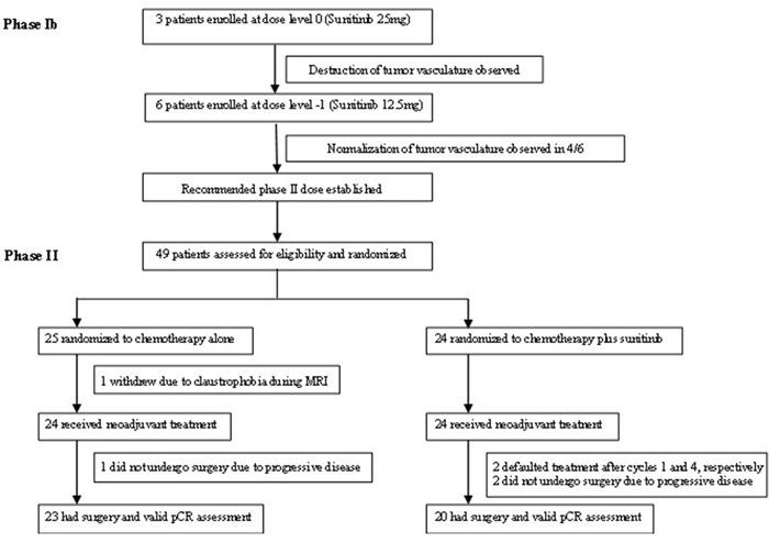 https://cdn.ncbi.nlm.nih.gov/pmc/blobs/e3ad/5325427/cd815513f418/oncotarget-07-64089-g001.jpg