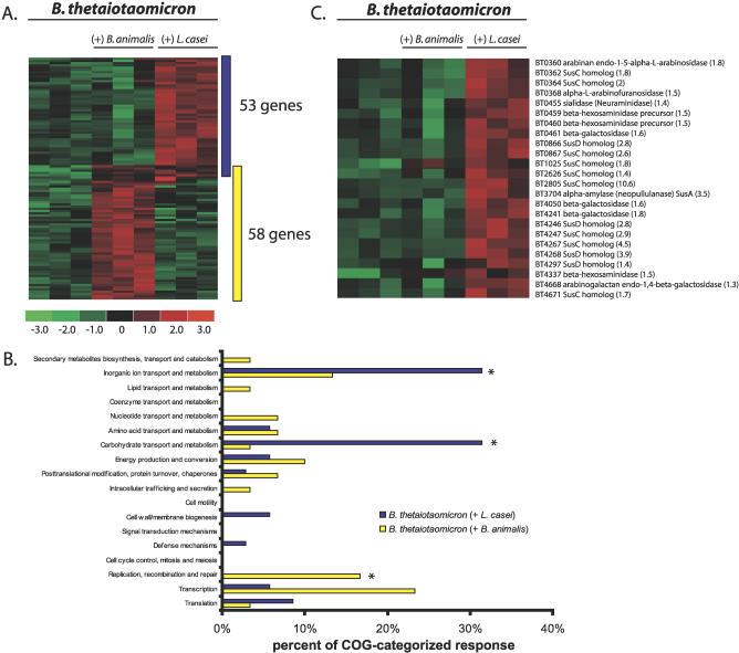 https://cdn.ncbi.nlm.nih.gov/pmc/blobs/e3ae/1750940/a414b082c14b/pbio.0040413.g003.jpg