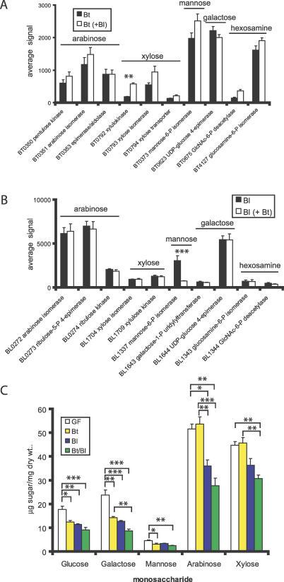 https://cdn.ncbi.nlm.nih.gov/pmc/blobs/e3ae/1750940/d42af5aee592/pbio.0040413.g002.jpg