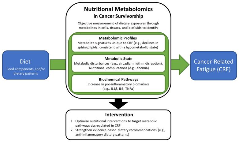 https://cdn.ncbi.nlm.nih.gov/pmc/blobs/e3ae/9003400/fb7f0d3fd4ef/nutrients-14-01496-g001.jpg