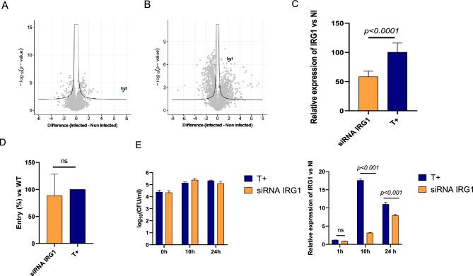 https://cdn.ncbi.nlm.nih.gov/pmc/blobs/e3af/10987565/c29d1a29f039/41598_2024_58261_Fig2_HTML.jpg