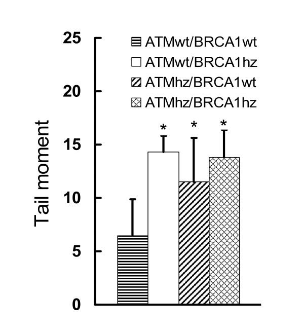 https://cdn.ncbi.nlm.nih.gov/pmc/blobs/e3b0/2834696/aba7cfaabcbe/1748-717X-5-15-1.jpg