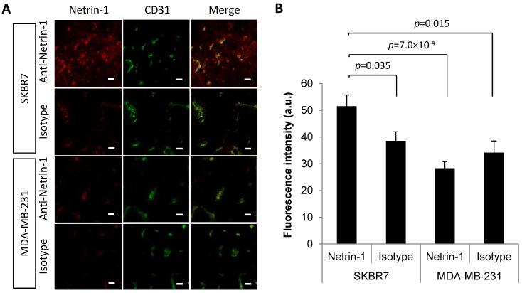 https://cdn.ncbi.nlm.nih.gov/pmc/blobs/e3b2/6217066/3c9631366c85/thnov08p5126g002.jpg
