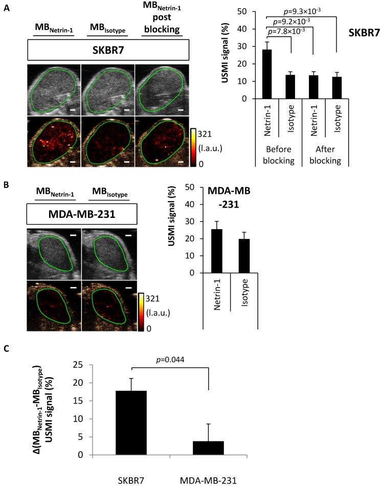 https://cdn.ncbi.nlm.nih.gov/pmc/blobs/e3b2/6217066/4befe13ab665/thnov08p5126g004.jpg