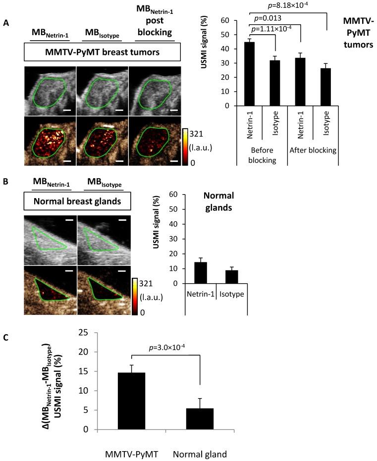 https://cdn.ncbi.nlm.nih.gov/pmc/blobs/e3b2/6217066/a9d544fd584d/thnov08p5126g005.jpg