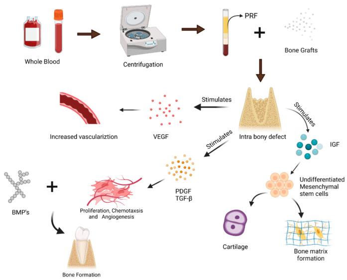 https://cdn.ncbi.nlm.nih.gov/pmc/blobs/e3b6/9370319/d45379edf5d5/polymers-14-03038-g001.jpg