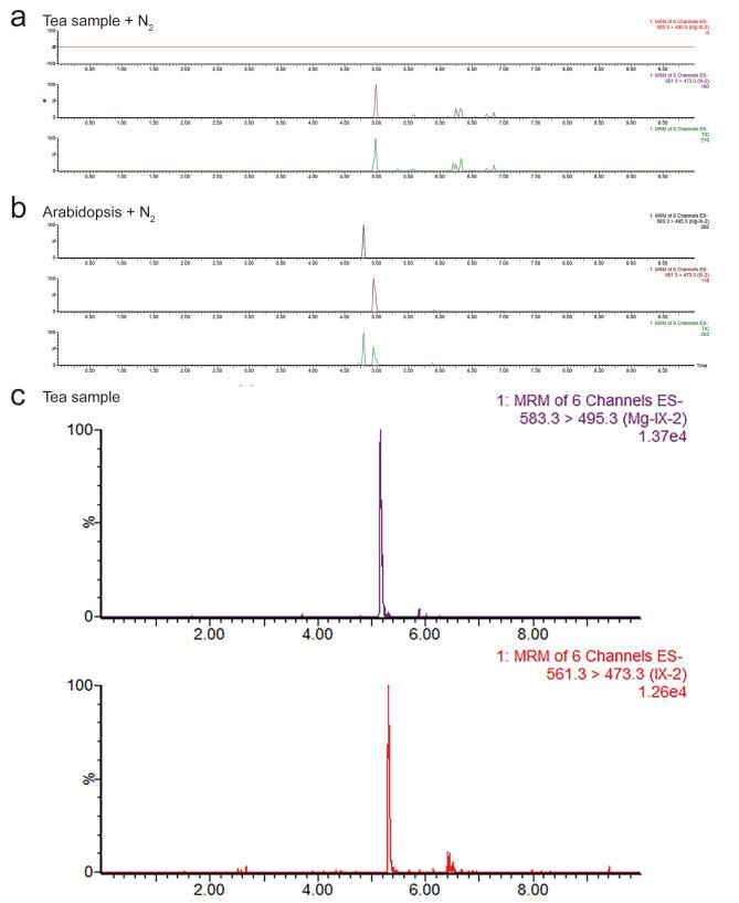 https://cdn.ncbi.nlm.nih.gov/pmc/blobs/e3b9/10061815/3836e6af6c23/13007_2023_1008_Fig3_HTML.jpg