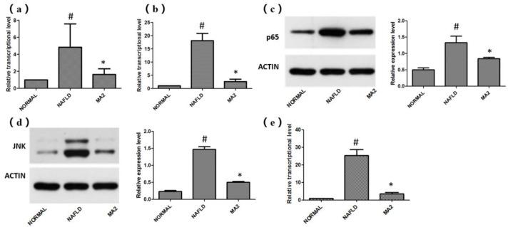 https://cdn.ncbi.nlm.nih.gov/pmc/blobs/e3b9/8701163/34ab422c0e3d/foods-10-03126-g005.jpg
