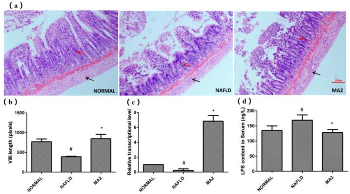 https://cdn.ncbi.nlm.nih.gov/pmc/blobs/e3b9/8701163/816134f50fb2/foods-10-03126-g003.jpg