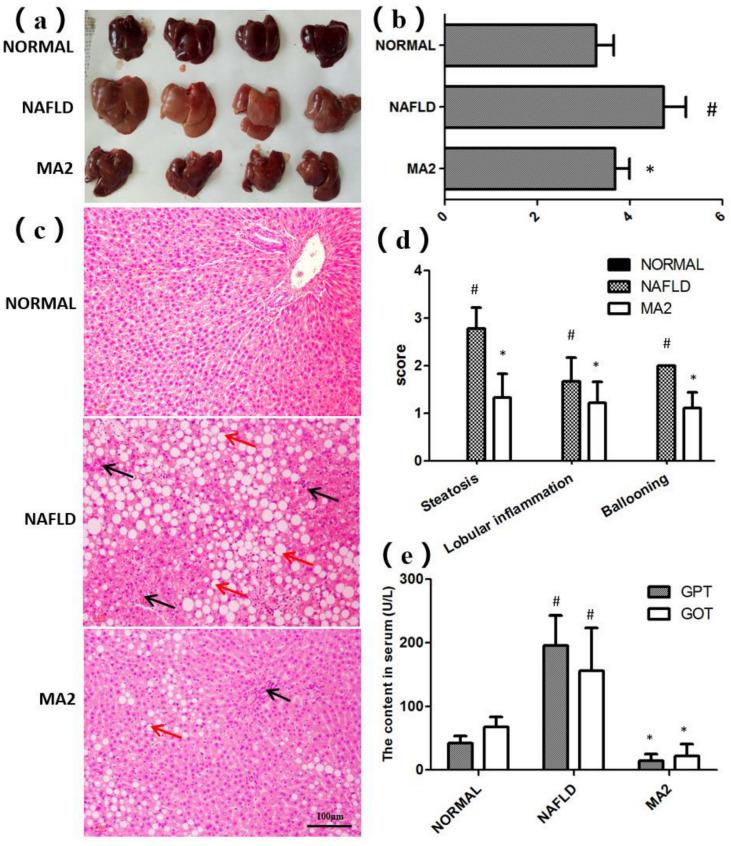 https://cdn.ncbi.nlm.nih.gov/pmc/blobs/e3b9/8701163/96319b35883c/foods-10-03126-g002.jpg