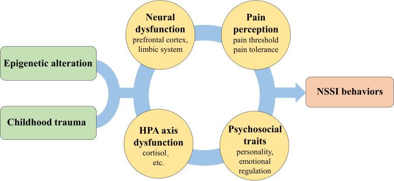 https://cdn.ncbi.nlm.nih.gov/pmc/blobs/e3ba/10465892/5db755345015/gpsych-2022-100946f04.jpg