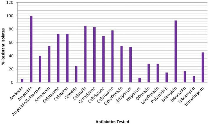 https://cdn.ncbi.nlm.nih.gov/pmc/blobs/e3bb/4762991/1431dc898a6f/fmicb-07-00176-g0001.jpg