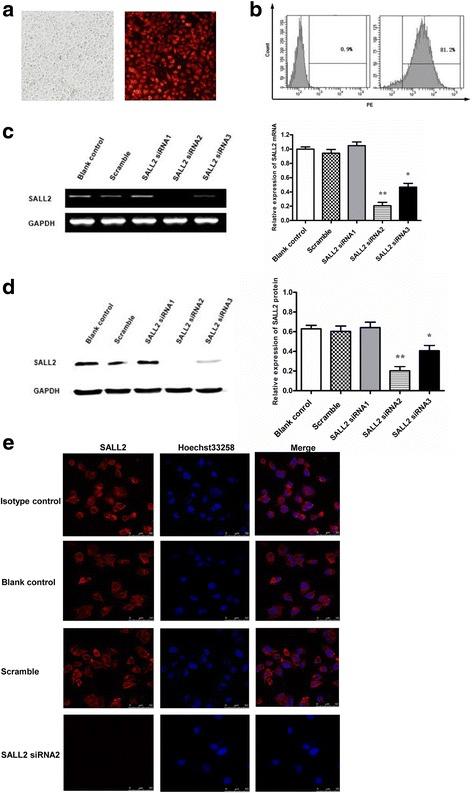 https://cdn.ncbi.nlm.nih.gov/pmc/blobs/e3bd/5725831/279e84aa61b0/12885_2017_3843_Fig2_HTML.jpg