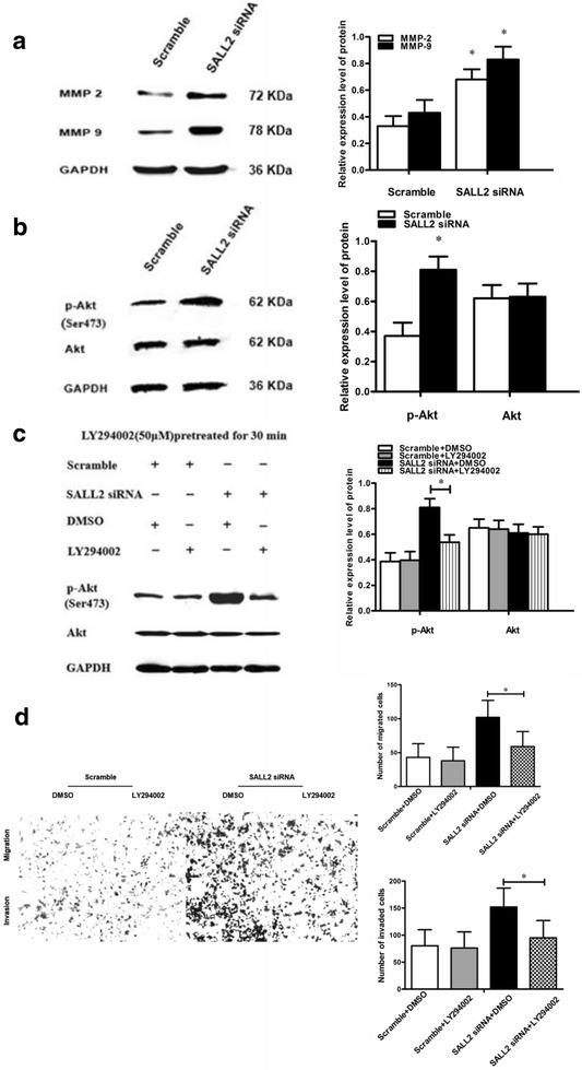 https://cdn.ncbi.nlm.nih.gov/pmc/blobs/e3bd/5725831/71f8014405f4/12885_2017_3843_Fig6_HTML.jpg