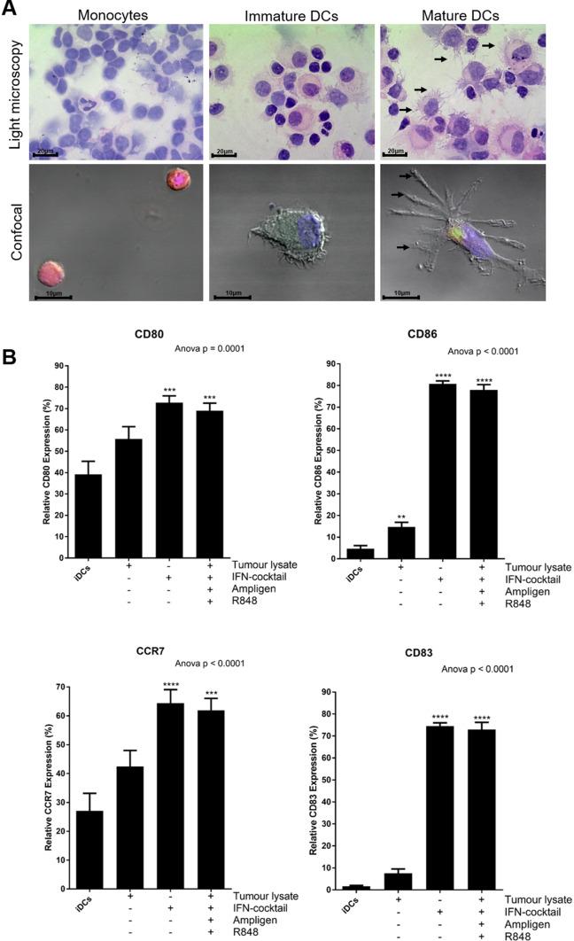 https://cdn.ncbi.nlm.nih.gov/pmc/blobs/e3be/11028260/c4ab30c410d2/262_2018_2238_Fig2_HTML.jpg