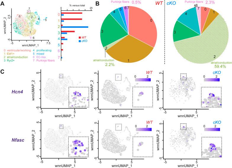 https://cdn.ncbi.nlm.nih.gov/pmc/blobs/e3be/11415600/406aaf219cc9/LSA-2024-02719_FigS8.jpg