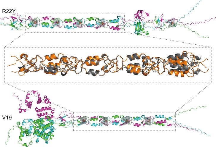 https://cdn.ncbi.nlm.nih.gov/pmc/blobs/e3bf/11705849/3bb548215dc0/spectrum.00934-24.f007.jpg