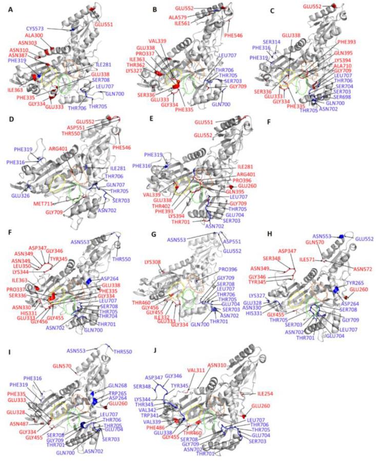 https://cdn.ncbi.nlm.nih.gov/pmc/blobs/e3c0/7312540/ce625a60e7f5/ijms-21-03803-g011.jpg