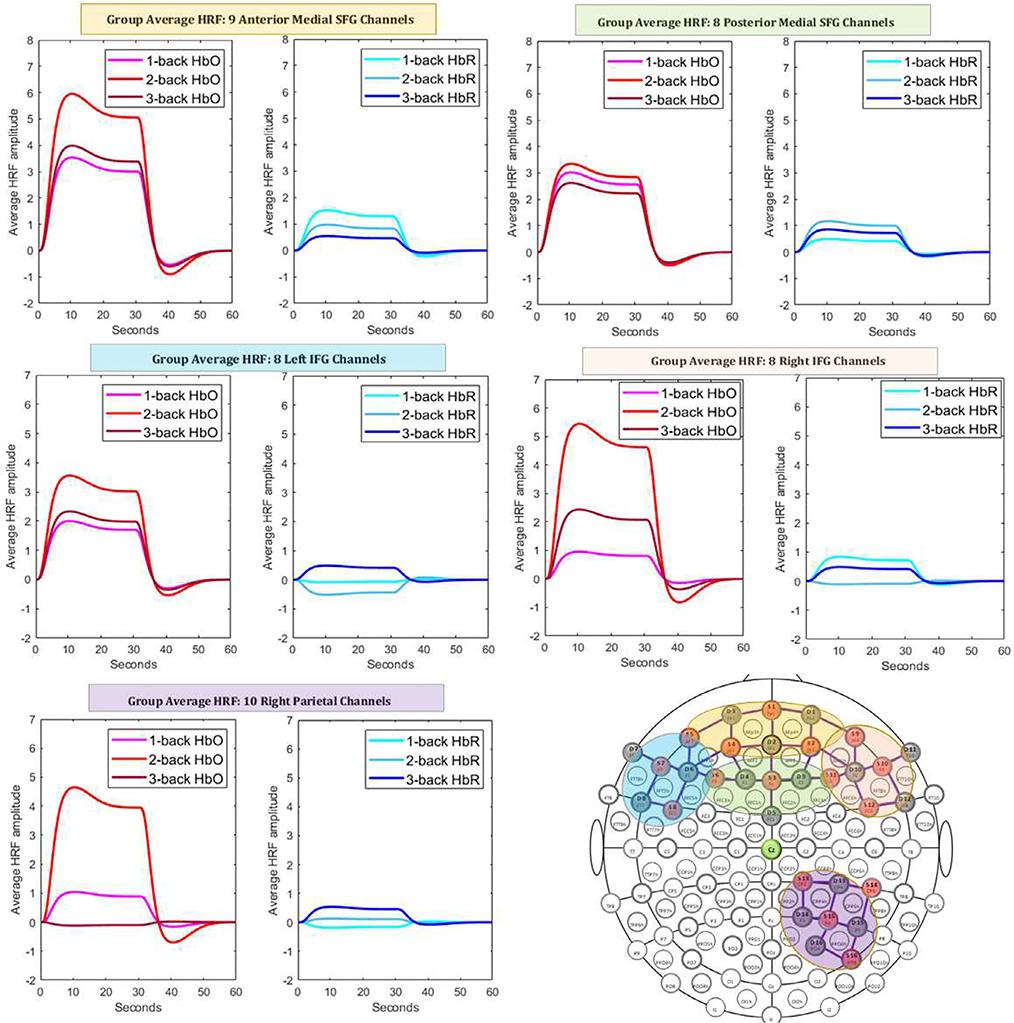 https://cdn.ncbi.nlm.nih.gov/pmc/blobs/e3c0/8145788/449ea7c0ee2d/nihms-1699174-f0005.jpg