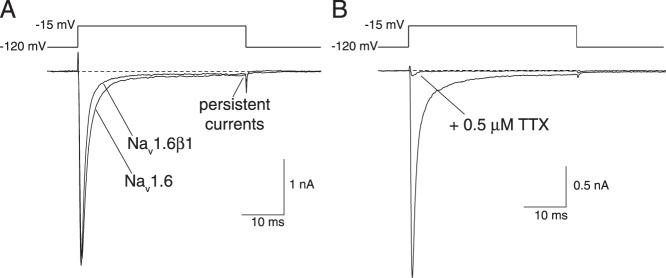 https://cdn.ncbi.nlm.nih.gov/pmc/blobs/e3c2/3880341/1af974b8f5bc/pone.0085188.g001.jpg