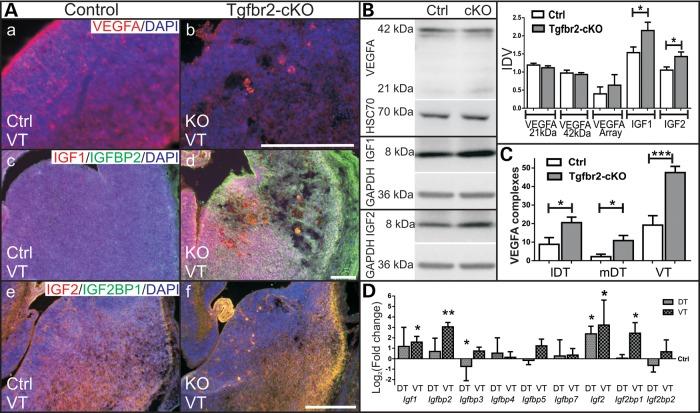 https://cdn.ncbi.nlm.nih.gov/pmc/blobs/e3c3/4222361/91246f729419/ddu33802.jpg