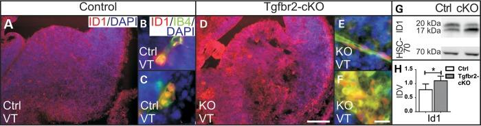 https://cdn.ncbi.nlm.nih.gov/pmc/blobs/e3c3/4222361/dd00cd122ce0/ddu33803.jpg