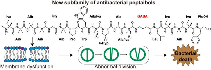 https://cdn.ncbi.nlm.nih.gov/pmc/blobs/e3c4/12145052/46862880b614/ga1.jpg
