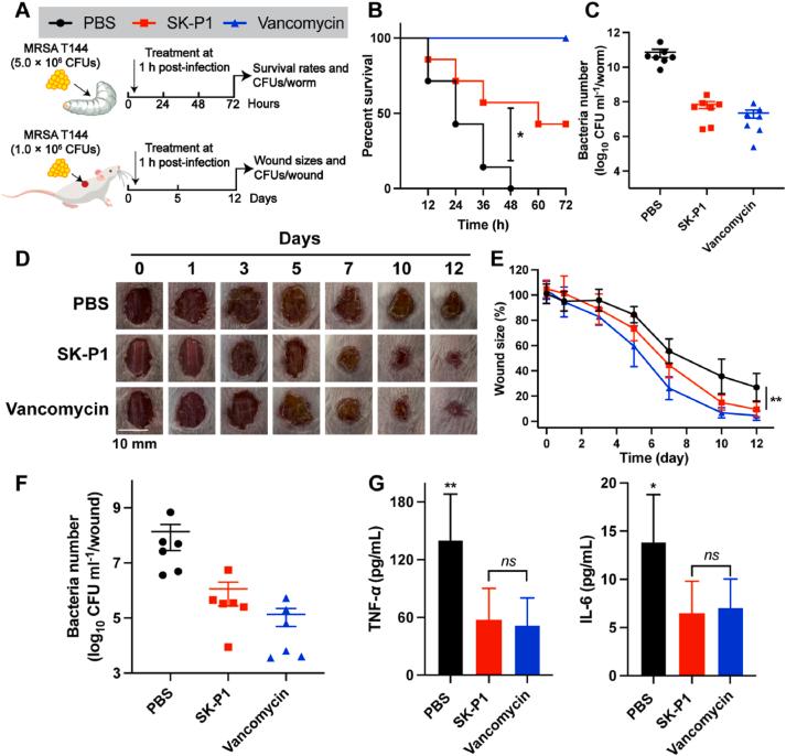 https://cdn.ncbi.nlm.nih.gov/pmc/blobs/e3c4/12145052/72e49c58e4ad/gr6.jpg