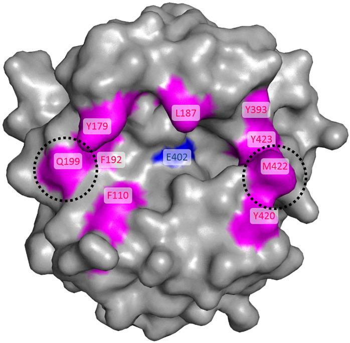 https://cdn.ncbi.nlm.nih.gov/pmc/blobs/e3c4/7771667/d4e36a3d444e/pone.0244656.g006.jpg