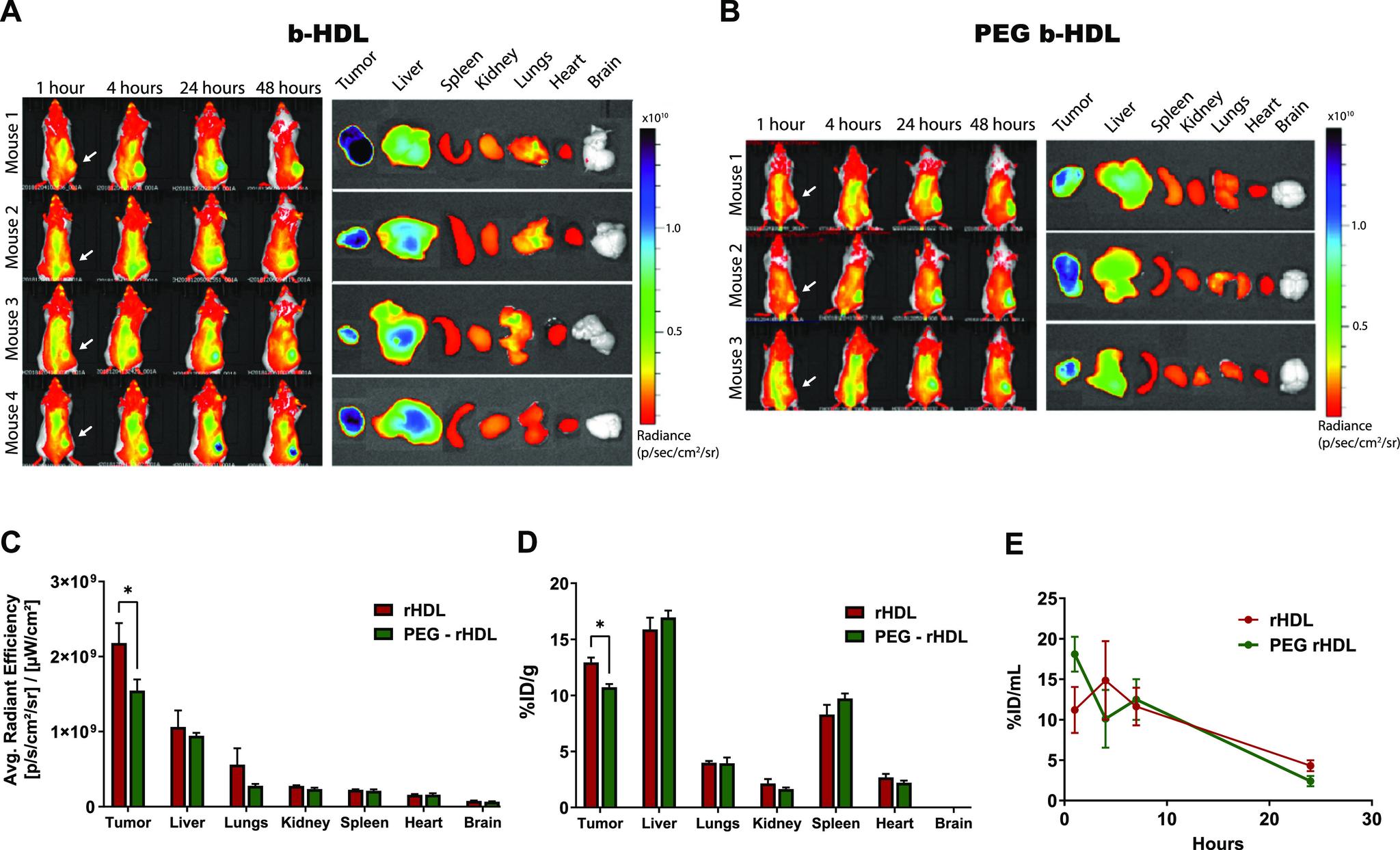 https://cdn.ncbi.nlm.nih.gov/pmc/blobs/e3c5/7808163/81f720a7af6d/ao0c05468_0005.jpg