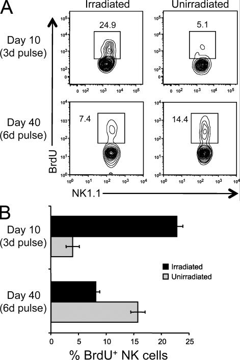 https://cdn.ncbi.nlm.nih.gov/pmc/blobs/e3c7/3039854/33964650cbd7/JEM_20100479_GS_Fig4.jpg