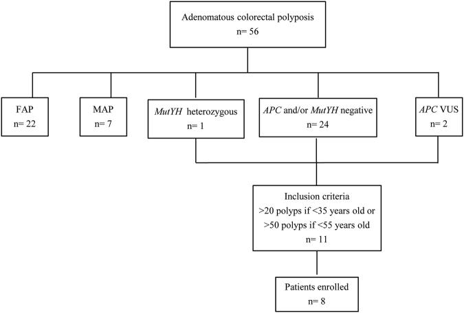 https://cdn.ncbi.nlm.nih.gov/pmc/blobs/e3c7/5839046/d1dd7fa0372e/41431_2017_86_Fig1_HTML.jpg