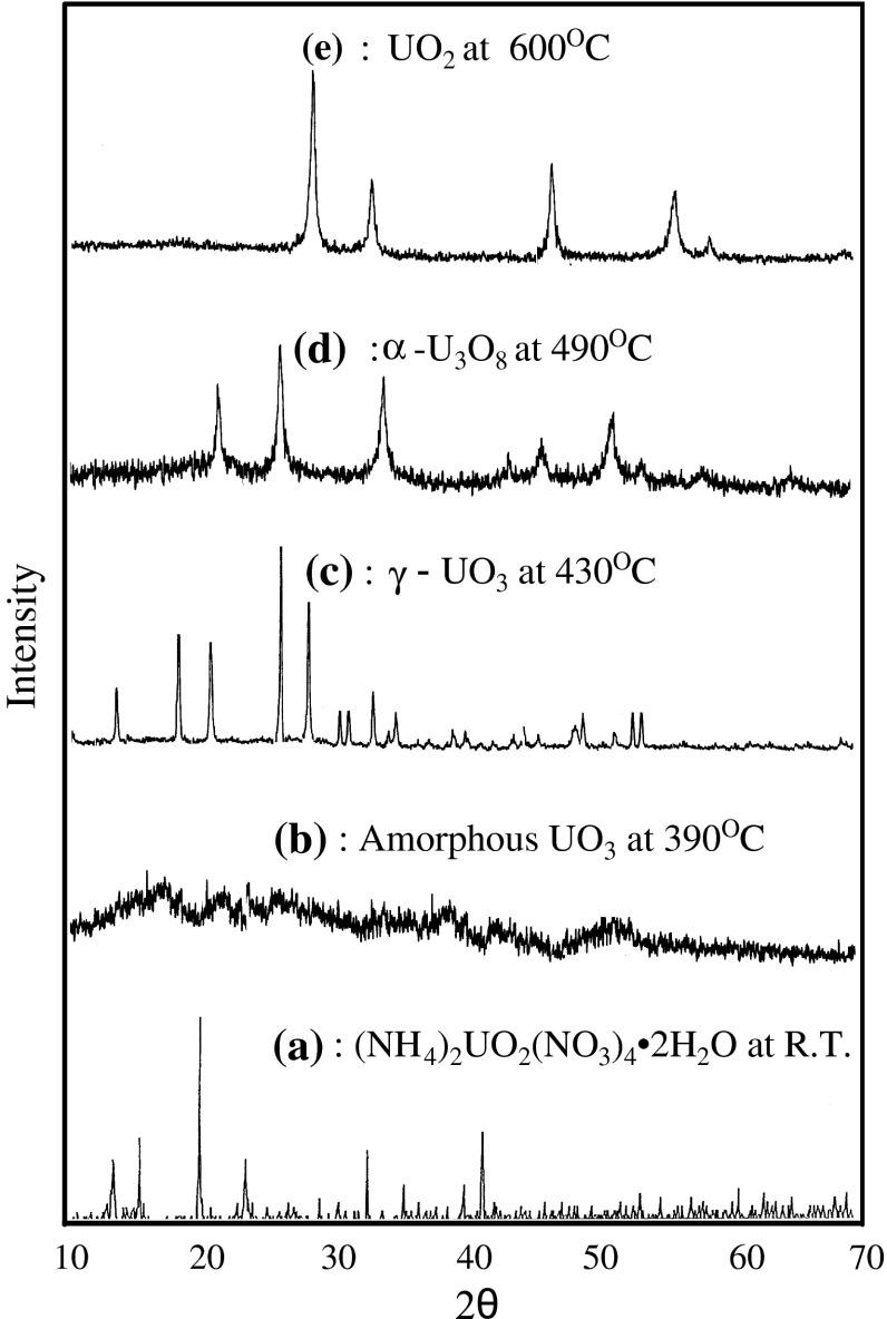 https://cdn.ncbi.nlm.nih.gov/pmc/blobs/e3c9/4514459/ced82546ff23/10967_2011_1579_Fig5_HTML.jpg