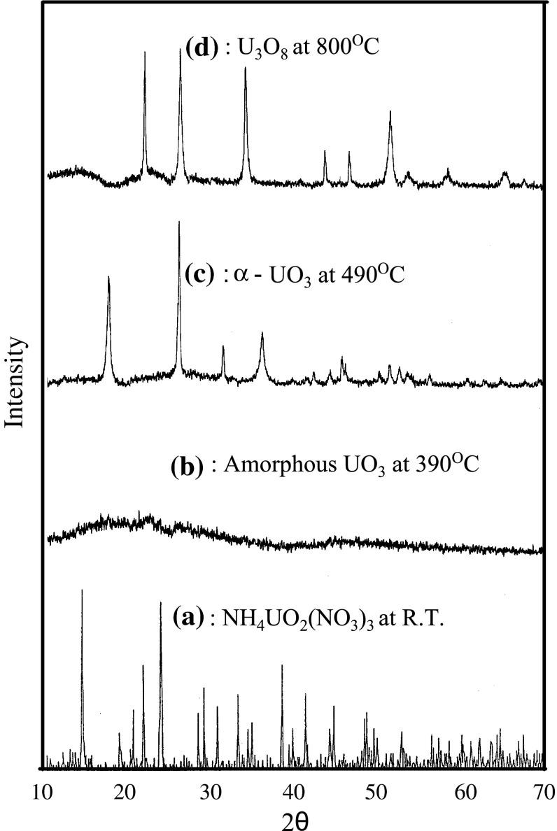 https://cdn.ncbi.nlm.nih.gov/pmc/blobs/e3c9/4514459/f6b1aa4851f9/10967_2011_1579_Fig7_HTML.jpg