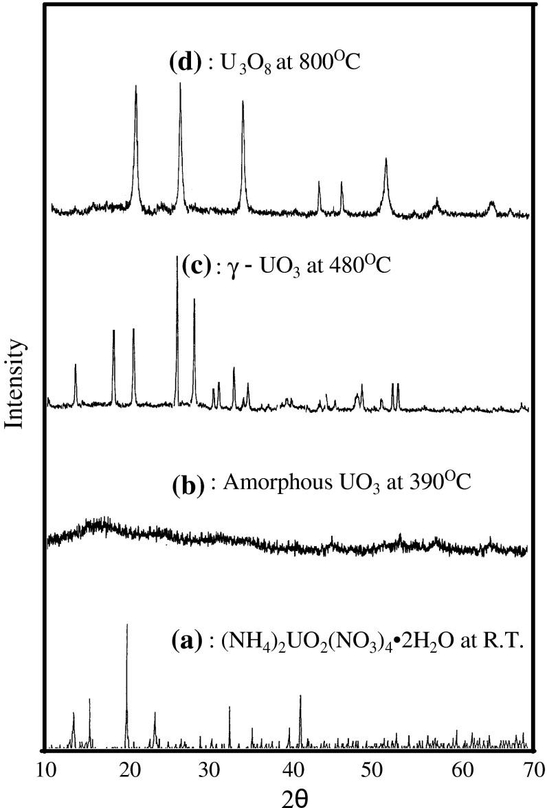 https://cdn.ncbi.nlm.nih.gov/pmc/blobs/e3c9/4514459/fbbb7f41fb83/10967_2011_1579_Fig3_HTML.jpg