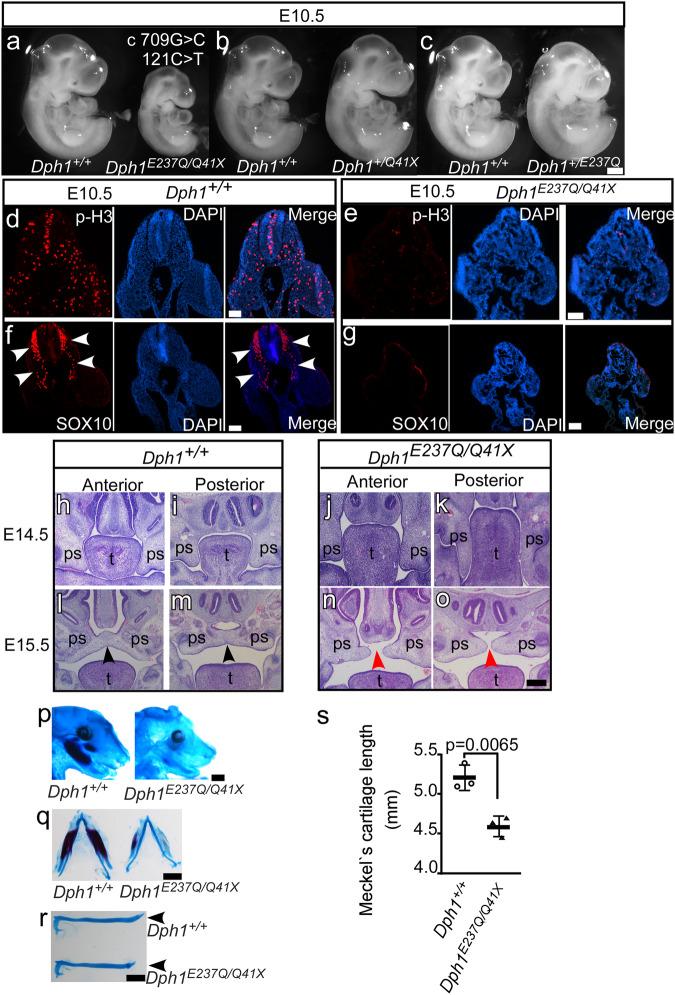https://cdn.ncbi.nlm.nih.gov/pmc/blobs/e3ca/11053169/07d7b19a10a7/41467_2024_47670_Fig3_HTML.jpg
