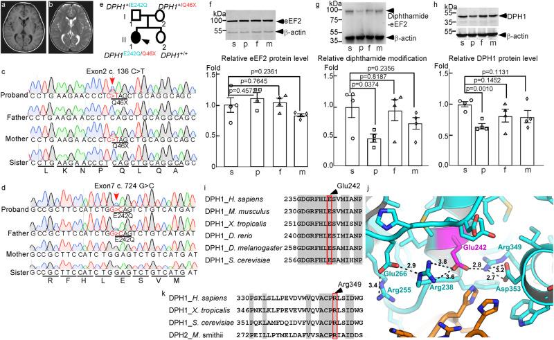 https://cdn.ncbi.nlm.nih.gov/pmc/blobs/e3ca/11053169/6df0bf0e25b3/41467_2024_47670_Fig1_HTML.jpg