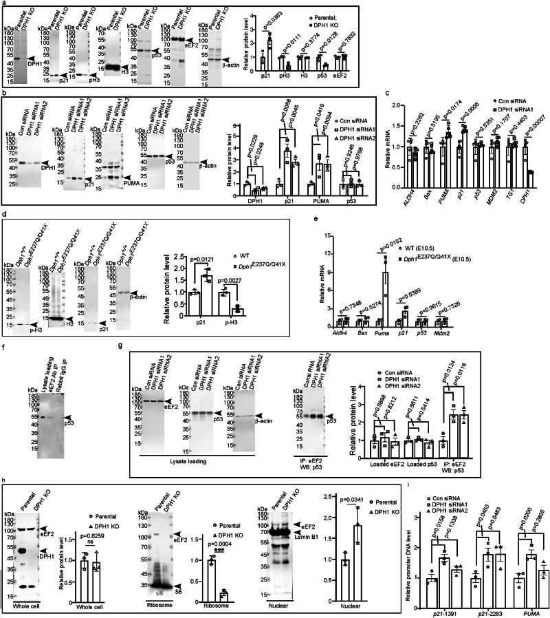 https://cdn.ncbi.nlm.nih.gov/pmc/blobs/e3ca/11053169/88eb45f7254e/41467_2024_47670_Fig4_HTML.jpg
