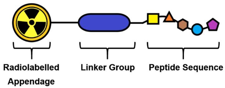 https://cdn.ncbi.nlm.nih.gov/pmc/blobs/e3cd/7226534/ff8ba0c366d9/cancers-12-00865-g003.jpg