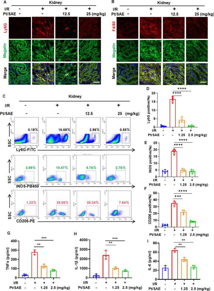 https://cdn.ncbi.nlm.nih.gov/pmc/blobs/e3d6/12034168/1110c991e567/12951_2025_3392_Fig8_HTML.jpg